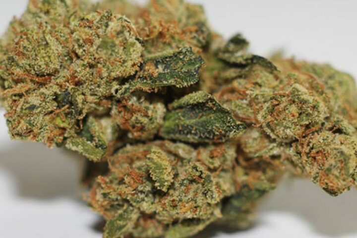 Berry White aka Barry White Weed Strain Information