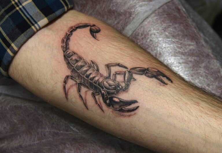 What Does a Scorpion Tattoo Mean? - Hi Wild Flower