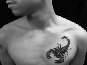 What Does a Scorpion Tattoo Mean? - Hi Wild Flower